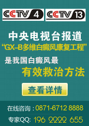 ӱGX-Bά翵